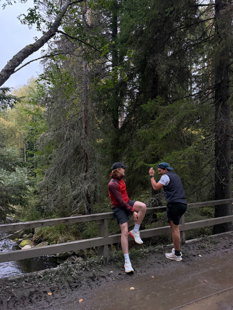 Two runners talking on a wooden bridge in the forest